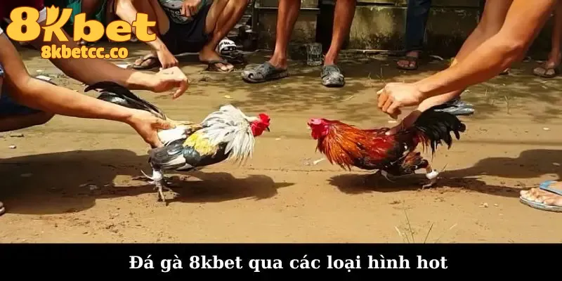 Các loại hình đá gà 8kbet phổ biến nhất hiện nay